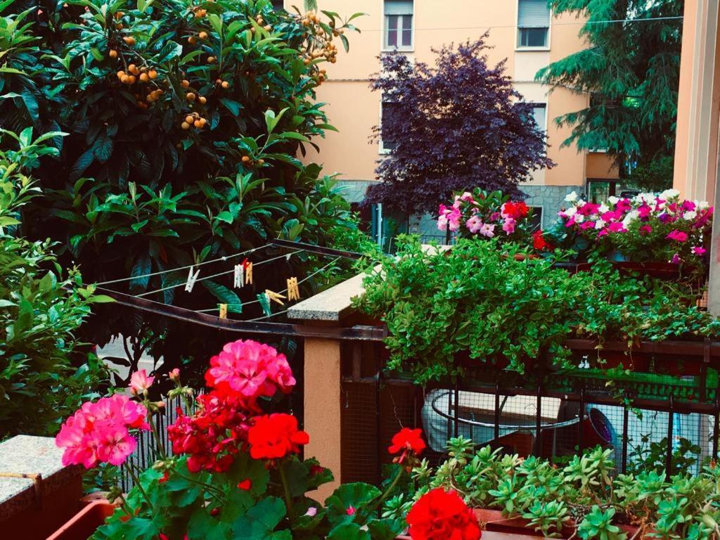 Casa Asia 볼로냐 외부 사진